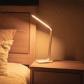 BioLight™ - Full Spectrum Lamp 3