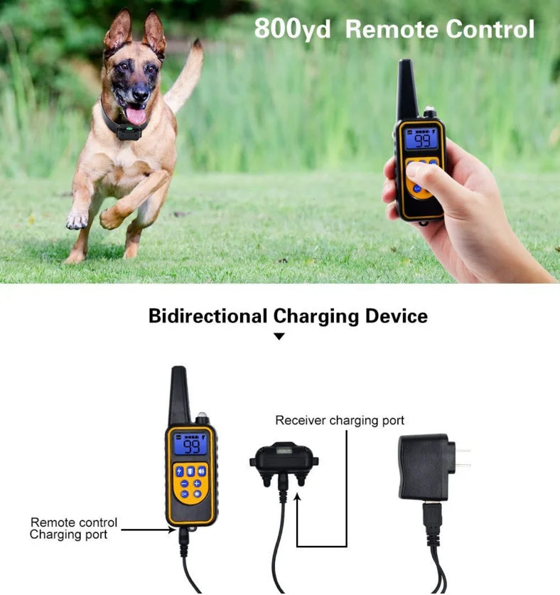 Trainingshalsband für Hunde